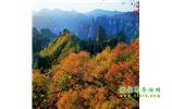 長沙往返張家界、天子山、寶峰湖/黃龍洞三日游