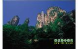 網(wǎng)絡(luò)熱門純玩游：張家界、天子山、袁家界、楊家界 自助三日游