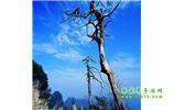 湘西之旅：張家界、天子山、寶峰湖/黃龍洞、鳳凰古城、猛洞河漂流、天門山六日游