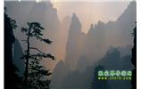 張家界國家森林公園、寶峰湖/黃龍洞、鳳凰古城、三峽八日游