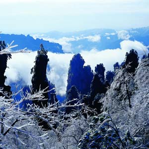 LD線：張家界、天子山、楊家界、猛洞河漂流純玩四日游