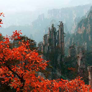 休閑自駕E線(xiàn)：張家界、袁家界、天子山、寶峰湖、鳳凰古城、沱江泛舟四晚五日游